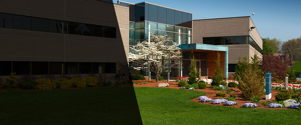 Raymondville Landscapers