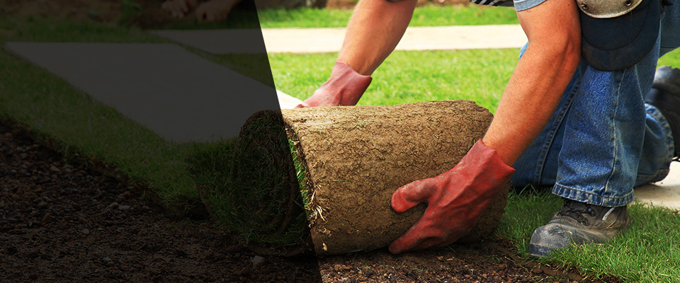 Raymondville Landscapers